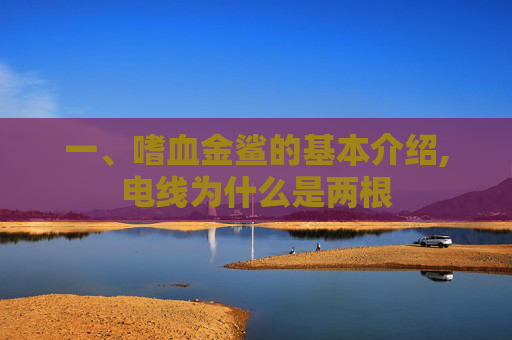 一、嗜血金鲨的基本介绍,电线为什么是两根