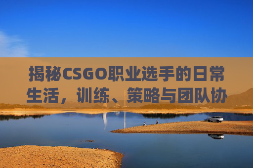 揭秘CSGO职业选手的日常生活，训练、策略与团队协作,csgo职业一览表