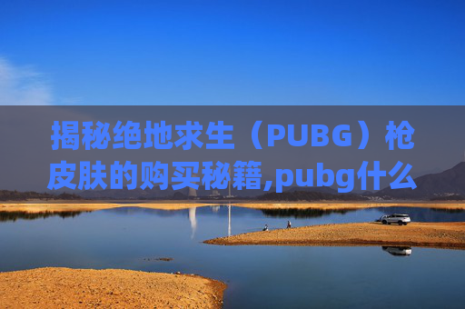 揭秘绝地求生（PUBG）枪皮肤的购买秘籍,pubg什么枪皮肤最贵