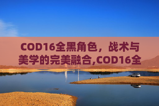 COD16全黑角色，战术与美学的完美融合,COD16全角色解锁指南-第1张图片-游戏守望资讯网