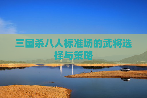 三国杀八人标准场的武将选择与策略