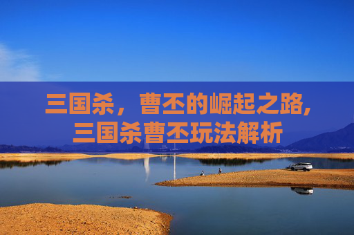三国杀，曹丕的崛起之路,三国杀曹丕玩法解析