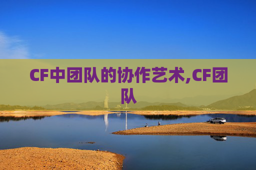 CF中团队的协作艺术,CF团队-第1张图片-游戏守望资讯网