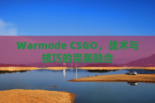 Warmode CSGO，战术与技巧的完美融合-第1张图片-游戏守望资讯网