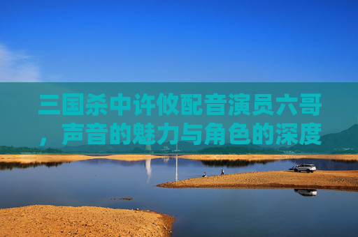 三国杀中许攸配音演员六哥，声音的魅力与角色的深度,三国杀许攸配音演员六哥是谁