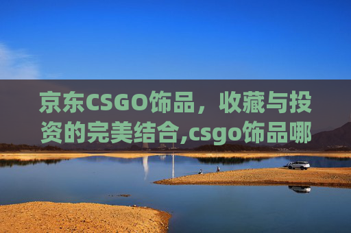 京东CSGO饰品，收藏与投资的完美结合,csgo饰品哪里卖比较好-第1张图片-游戏守望资讯网