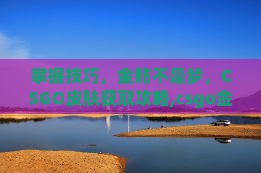 掌握技巧，金贴不是梦，CSGO皮肤获取攻略,csgo金贴纸多少钱-第1张图片-游戏守望资讯网
