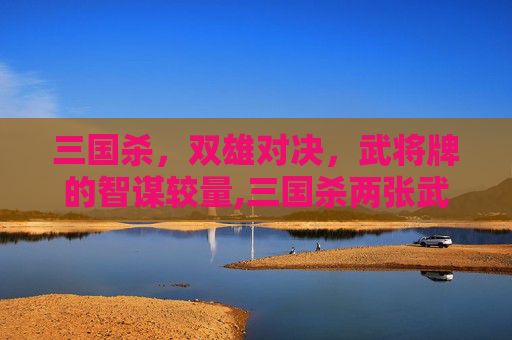 三国杀，双雄对决，武将牌的智谋较量,三国杀两张武将玩法