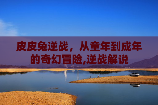 皮皮兔逆战，从童年到成年的奇幻冒险,逆战解说