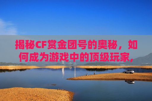 揭秘CF赏金团号的奥秘，如何成为游戏中的顶级玩家,cfm赏金令怎么加团
