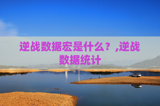 逆战数据宏是什么？,逆战数据统计