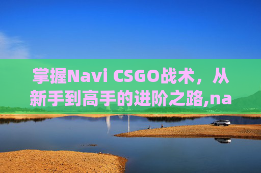 掌握Navi CSGO战术，从新手到高手的进阶之路,navicsgo成员