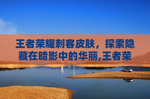 王者荣耀刺客皮肤，探索隐藏在暗影中的华丽,王者荣耀刺客皮肤手感排名