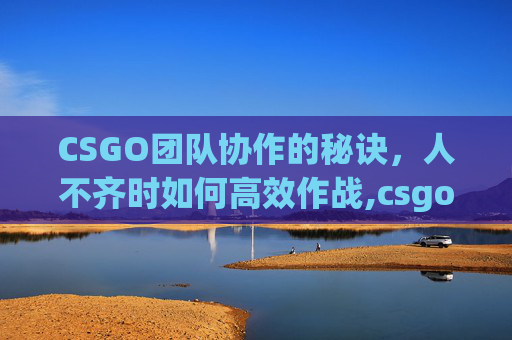 CSGO团队协作的秘诀，人不齐时如何高效作战,csgo人物-第1张图片-游戏守望资讯网