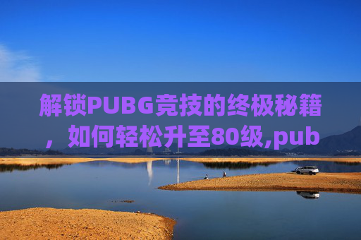 解锁PUBG竞技的终极秘籍，如何轻松升至80级,pubg怎么快速80级打竞技