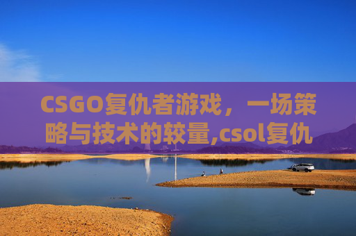CSGO复仇者游戏，一场策略与技术的较量,csol复仇联盟怎么过