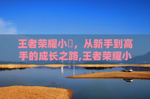 王者荣耀小聖，从新手到高手的成长之路,王者荣耀小圣杯-第1张图片-游戏守望资讯网