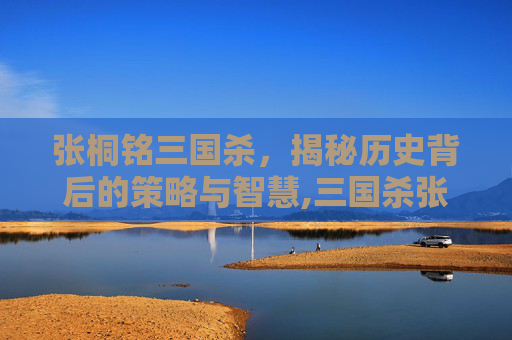 张桐铭三国杀,揭秘历史背后的策略与智慧,三国杀张媱-第1张图片-游戏守望资讯网 张桐铭三国杀,揭秘历史背后的策略与智慧,三国杀张媱-第1张图片-游戏守望资讯网