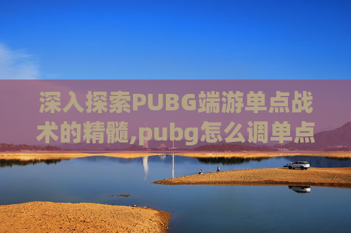 深入探索PUBG端游单点战术的精髓,pubg怎么调单点