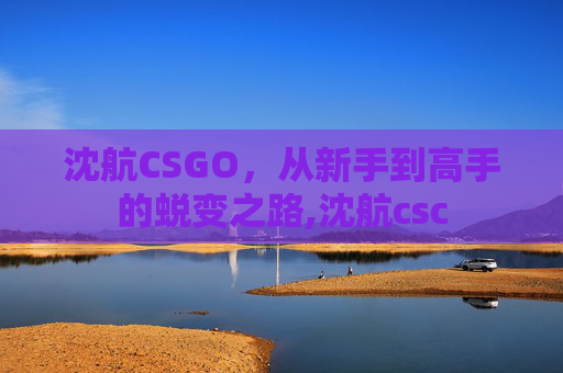 沈航CSGO，从新手到高手的蜕变之路,沈航csc-第1张图片-游戏守望资讯网