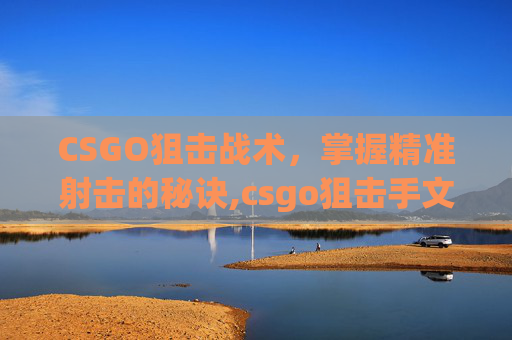 CSGO狙击战术，掌握精准射击的秘诀,csgo狙击手文案-第1张图片-游戏守望资讯网