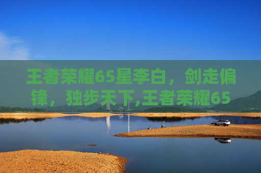 王者荣耀65星李白，剑走偏锋，独步天下,王者荣耀65星李白多少钱