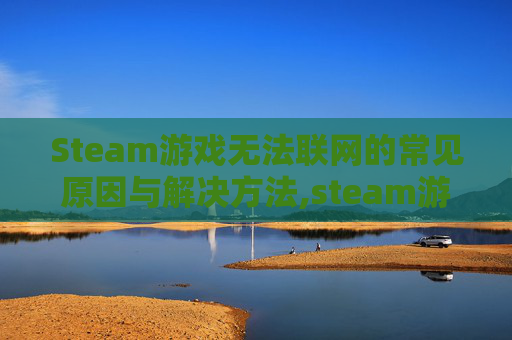Steam游戏无法联网的常见原因与解决方法,steam游戏没有网络还能玩么