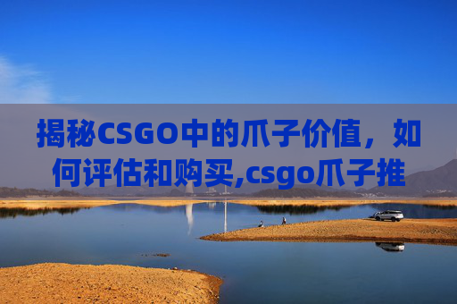 揭秘CSGO中的爪子价值，如何评估和购买,csgo爪子推荐