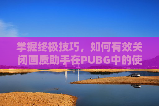 掌握终极技巧，如何有效关闭画质助手在PUBG中的使用,PUBGPOOI画质助手-第1张图片-游戏守望资讯网