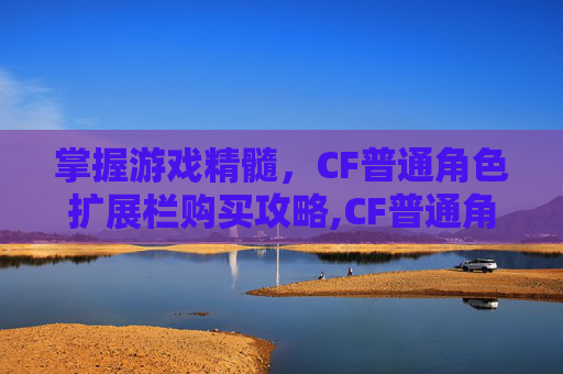 掌握游戏精髓，CF普通角色扩展栏购买攻略,CF普通角色扩展栏的设置方法详解