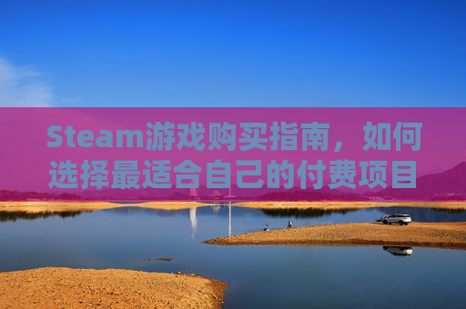 Steam游戏购买指南，如何选择最适合自己的付费项目？,steam上付费热门游戏排行