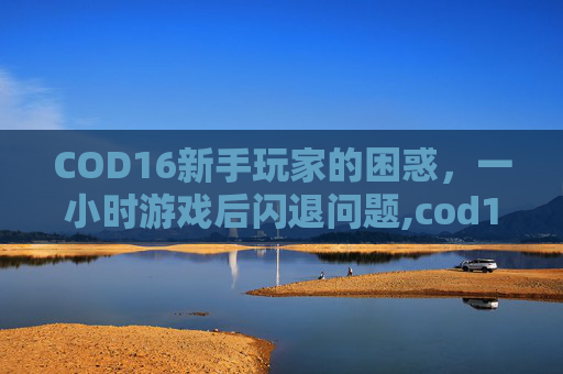 COD16新手玩家的困惑，一小时游戏后闪退问题,cod16玩一会儿就闪退