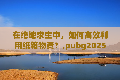 在绝地求生中，如何高效利用纸箱物资？,pubg2025物资箱