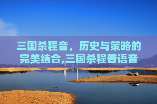 三国杀程音，历史与策略的完美结合,三国杀程普语音
