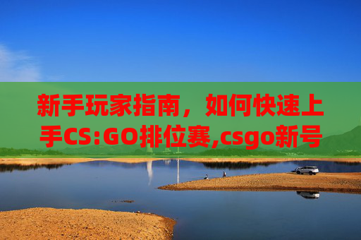 新手玩家指南，如何快速上手CS:GO排位赛,csgo新号怎么才能打官匹