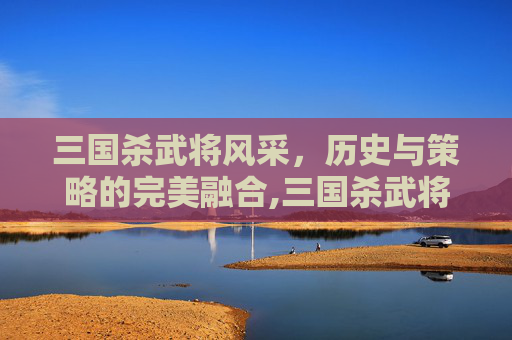 三国杀武将风采，历史与策略的完美融合,三国杀武将截图在哪