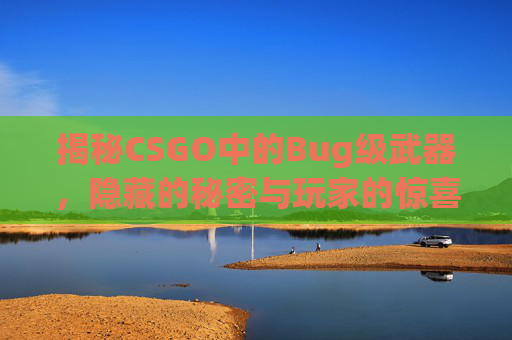 揭秘CSGO中的Bug级武器，隐藏的秘密与玩家的惊喜,csgo武器级别顺序-第1张图片-游戏守望资讯网