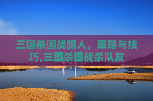 三国杀国战踢人，策略与技巧,三国杀国战杀队友