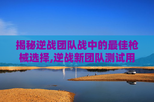 揭秘逆战团队战中的最佳枪械选择,逆战新团队测试用什么投掷武器