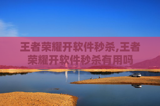 王者荣耀开软件秒杀,王者荣耀开软件秒杀有用吗