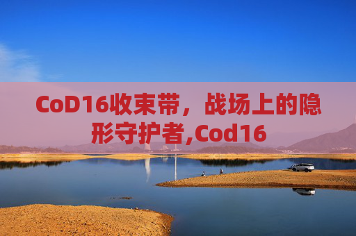 CoD16收束带，战场上的隐形守护者,Cod16