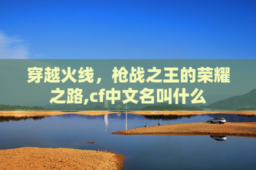 穿越火线，枪战之王的荣耀之路,cf中文名叫什么