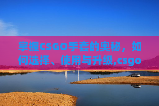 掌握CSGO手套的奥秘，如何选择、使用与升级,csgo手套搭配大全