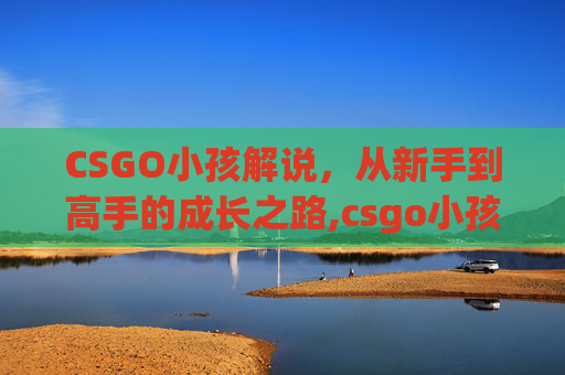 CSGO小孩解说，从新手到高手的成长之路,csgo小孩是哪个选手