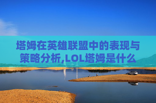 塔姆在英雄联盟中的表现与策略分析,LOL塔姆是什么位置