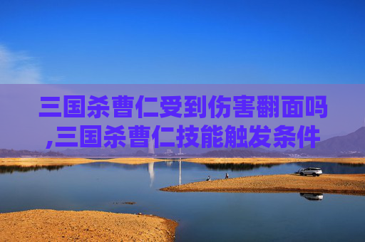 三国杀曹仁受到伤害翻面吗,三国杀曹仁技能触发条件