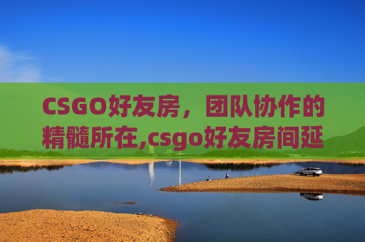 CSGO好友房，团队协作的精髓所在,csgo好友房间延迟高