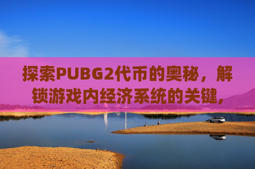 探索PUBG2代币的奥秘，解锁游戏内经济系统的关键,pubg2023代币有什么用