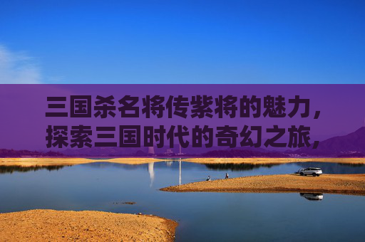 三国杀名将传紫将的魅力，探索三国时代的奇幻之旅,三国杀名将传紫将好玩吗值得买吗