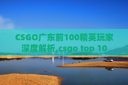 CSGO广东前100精英玩家深度解析,csgo top 10